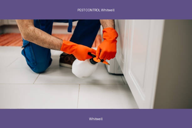 PEST CONTROL Whitwell